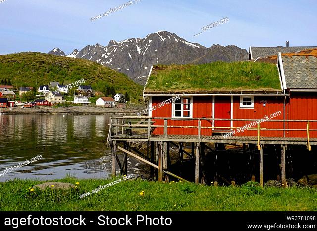 Traditional turf roofs and red buildings in the charming cod fishing village of Reine, Lofoten Islands, Nordland, Norway, Scandinavia, Europe