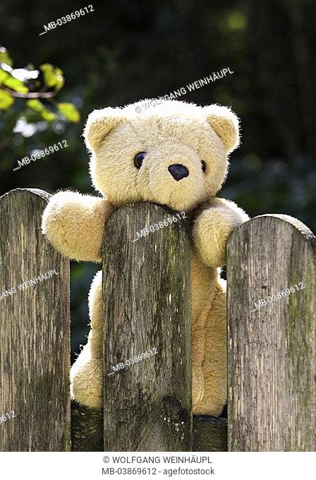 Wood-fence, detail, teddy, fence, Bretterzaun, pickets, wood-slats, slat-fence, material-animal, teddy bear, toy, toy, forgets, lost, found concept