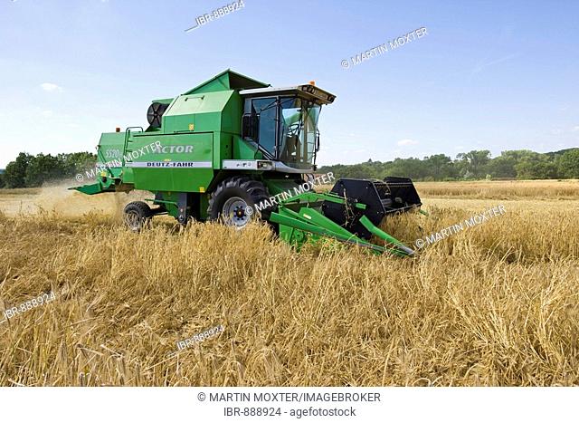 Combined harvester on a field of Barley (Hordeum vulgare), Wetterau, Hesse, Germany
