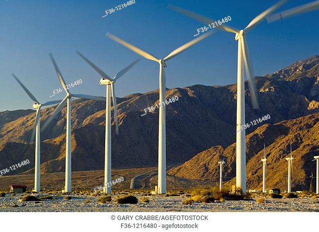 Array of windmills at wind farm at dawn, below the San Jacinto Mountains, Palm Springs, California