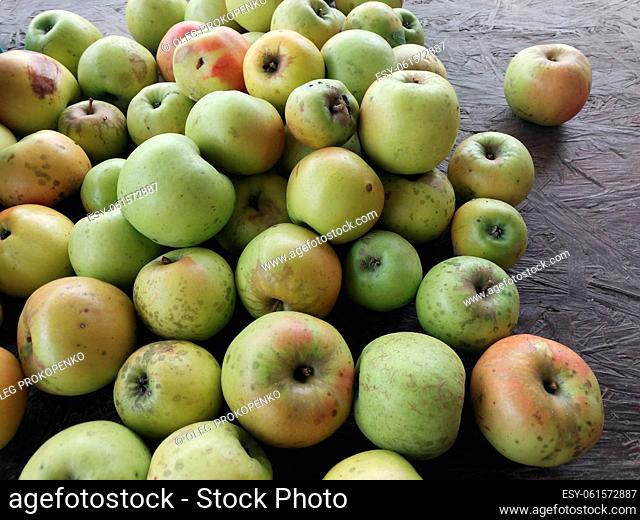 Apples for slicing and the juicing