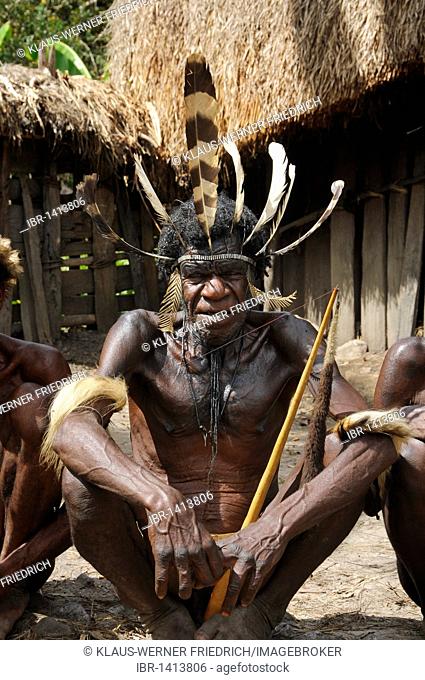 Dani man with headdress, Yiwika, Baliem Valley, Irian Jaya, Papua New Guinea, Indonesia, Southeast Asia, Asia