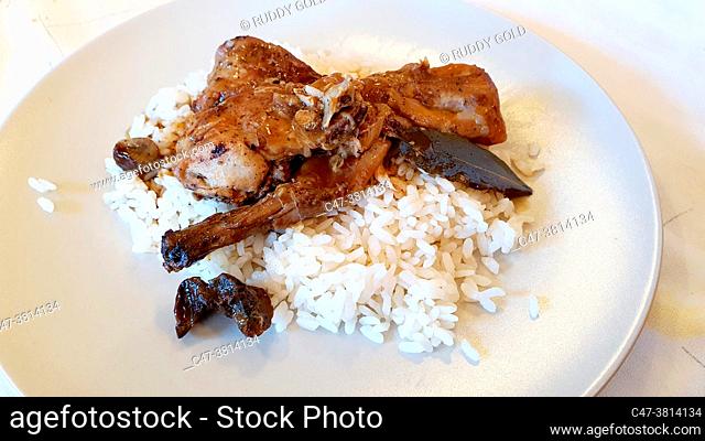 Rabbit stew with mushrooms and carrot and boiled rice on a white dish on brown background