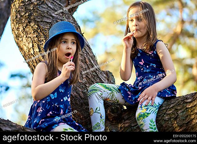 two adorable girls in summer dresses are climbing a tree in the forest