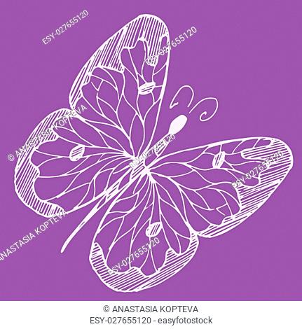 Hand drawn sketch style Butterfly. Retro hand-drawn vector illustration. Doodle and zentangle art. Vector illustration