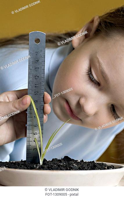 Girl measuring height of seedling