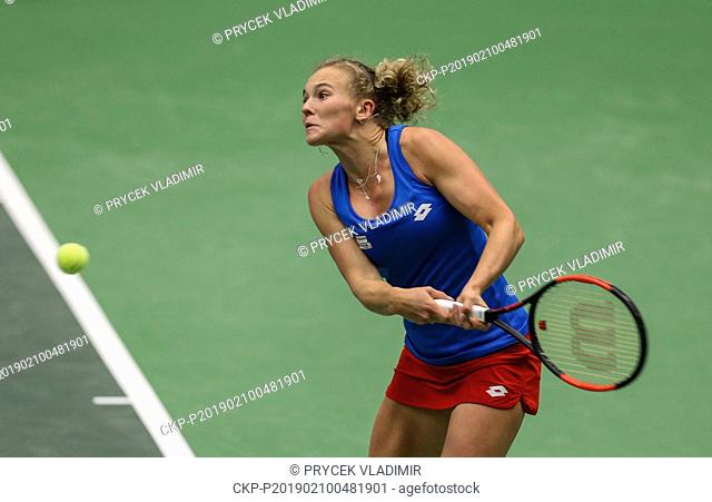 KATERINA SINIAKOVA of the Czech Republic in action during the match against Romanian tennis player MIHAELA BUZARNESCU during the Fed Cup World Group, 1st Round