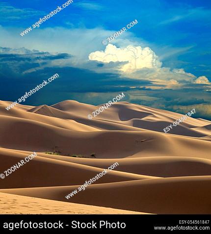 Landscape of the sand dunes in Gobi Desert at sunset, Mongolia