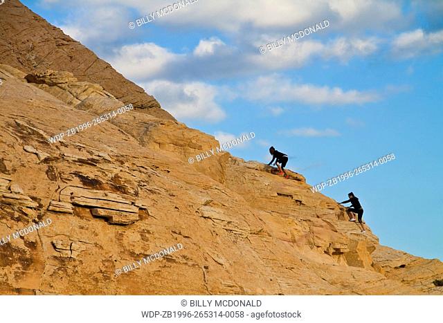 Young Women Climbing The Aztec Sandstone of the Calico Hills, Red Rock Canyon NCA, Las Vegas, USA