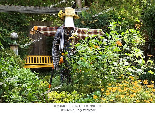 0716698 Scarecrow in vegetable & herb garden Calendula officinalis  Vater, Oklahoma City, OK