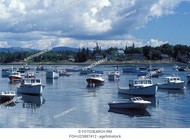 lobster boats, Bass Harbor, ME, Maine, Mount Desert Island, Lobster fishing boats buoyed in the harbor in the fishing village of Bass Harbor on the Atlantic...