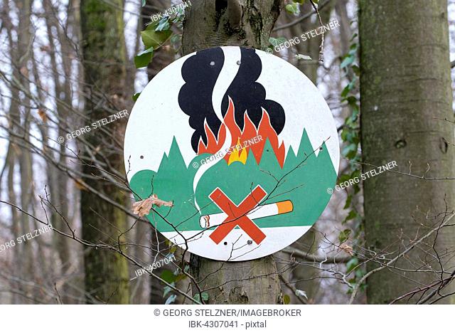 No smoking in the forest, fire danger warning sign on a tree, Hesse, Germany
