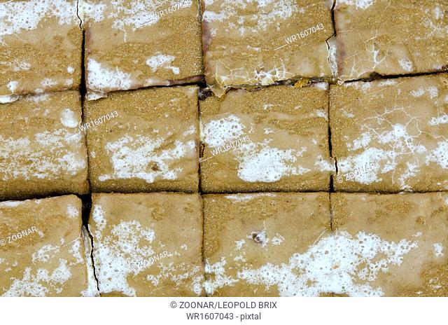 homemade gingerbread chopped in rectangles