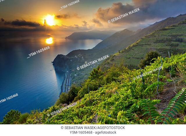 Sunset over Corniglia, Cinque Terre National Park, Province of La Spezia, Liguria, Italy, Europe