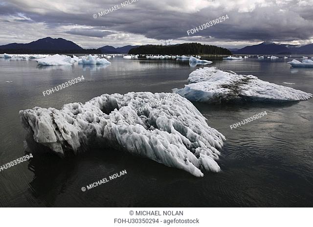 Calved icebergs and bergy bits fallen from the Le Conte Glacier in Le Conte Bay, Southeast Alaska, USA. Le Conte glacier is the southernmost tidewater glacier...