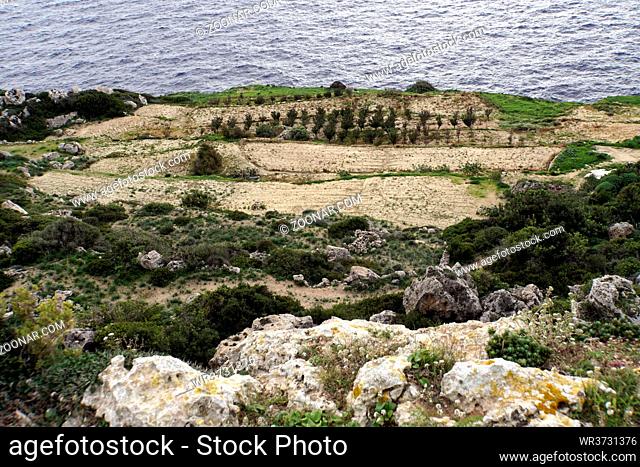 Landwirtschaft auf fruchtbarem Plateau an den Dingli Cliffs, Dingli, Malta