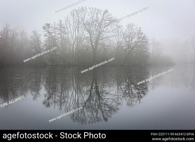 11 January 2022, Lower Saxony, Hanover: Bare trees are reflected on the water surface of the Annateich in Hermann-Löns-Park in the foggy morning
