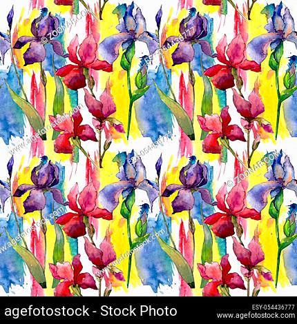 Wildflower iris flower pattern in a watercolor style. Full name of the plant: iris. Aquarelle wild flower for background, texture, wrapper pattern