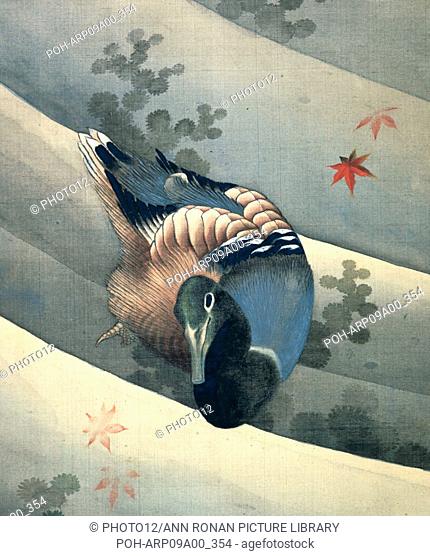 Duck Swimming in Water', 1847. Ink and colours on silk. Katsushika Hokusai (1770-1849) Japanese artist and printmaker