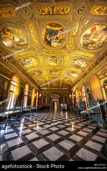 Splendid exhibition room with ornate ceiling vault, Museo Correr, Venice, Veneto, Italy, Europe