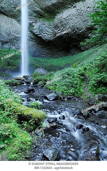 Latourell Falls, Columbia River Gorge, Cascade Range, Oregon, USA