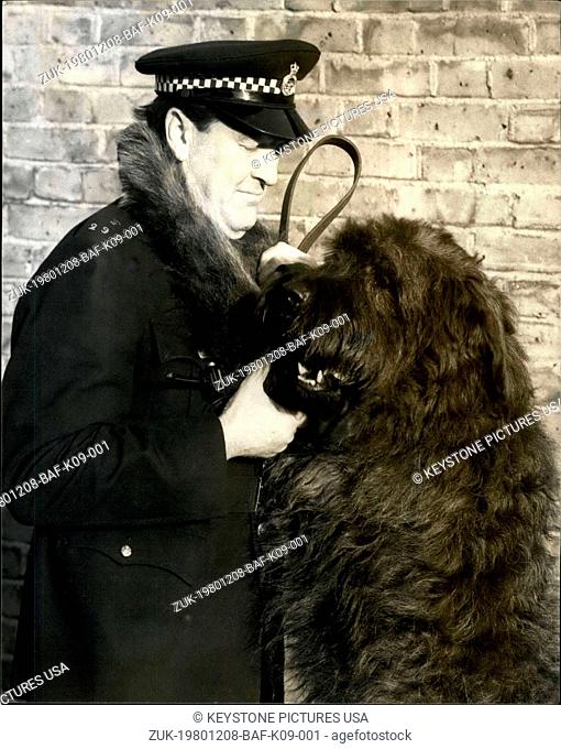 Dec. 08, 1980 - December 8th 1980 Jango Bouvier de Flandres starts duty as police dog A breed of dog brand new to police work in Britain started on the beat in...