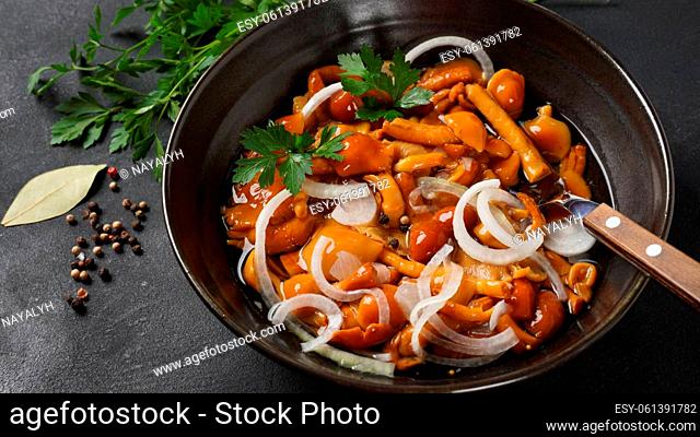 Marinated wild honey fungus Armillaria mellea mushrooms with spices and onions in the bowl