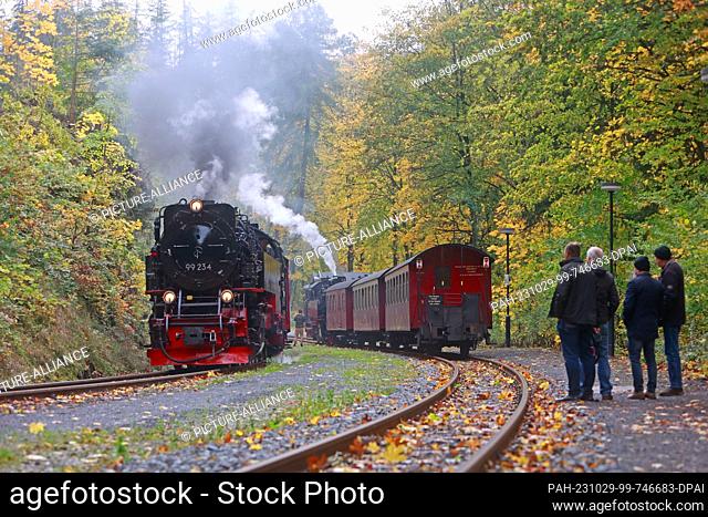29 October 2023, Saxony-Anhalt, Wernigerode: A train of the Harzer Schmalspurbahn stands in the station Steinerne Renne in Wernigerode