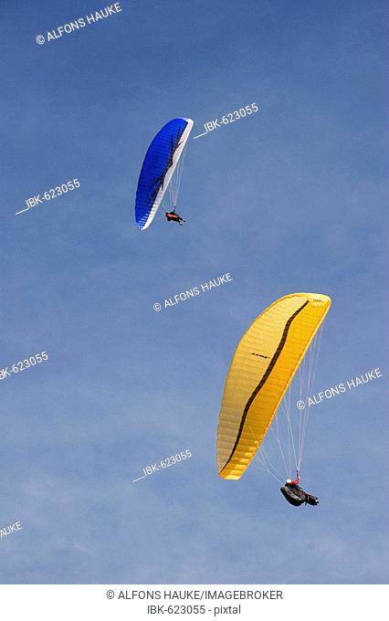 Paragliders in the air
