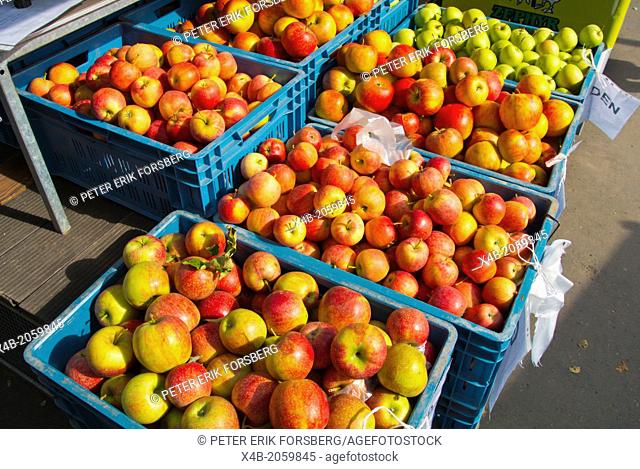 Czech apples Farmers market Jiriho z Podebrad square Zizkov district Prague Czech Republic Europe