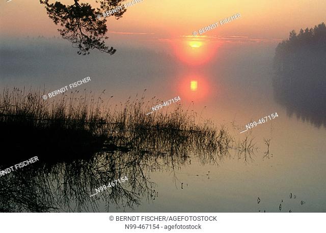 Midsummernight sun on the horizon at midnight. Lake and forest in fog. Near Suomussalmi. Finland