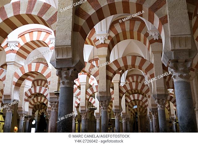 Euope, Spain, Anadalusia, Cordoba, Cathedral, Mosque