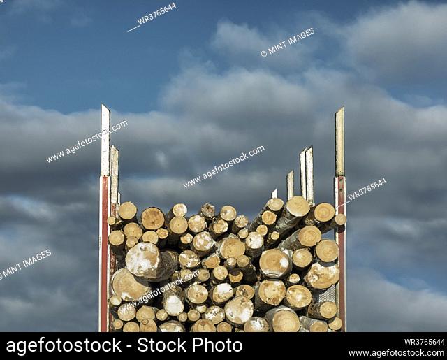 Trailer full of timber, close-up