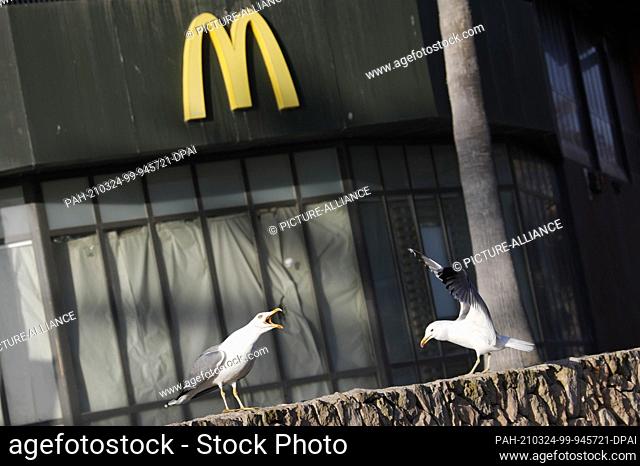 23 March 2021, Spain, Calvia: Two seagulls sit in front of a closed fast food restaurant in Santa Ponca, Calvia. (to dpa: ""I see no crowds"" - voices from the...