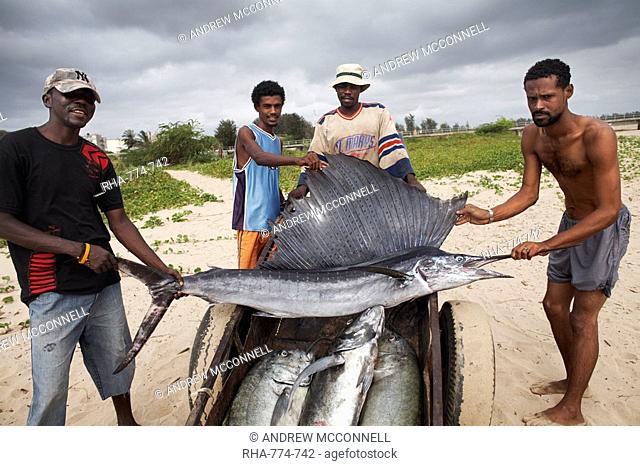 Fishermen with their catch, Malindi, Kenya, East Africa, Africa