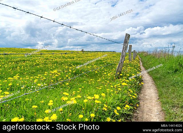 Germany, Schleswig-Holstein, hiking trail between Bülk and Schwedeneck, steep coast Stohl, fence, barbed wire