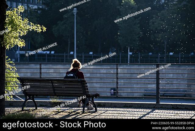 05 June 2022, Berlin: A woman sits on a bench in the government quarter in the morning. Photo: Paul Zinken/dpa. - Berlin/Germany