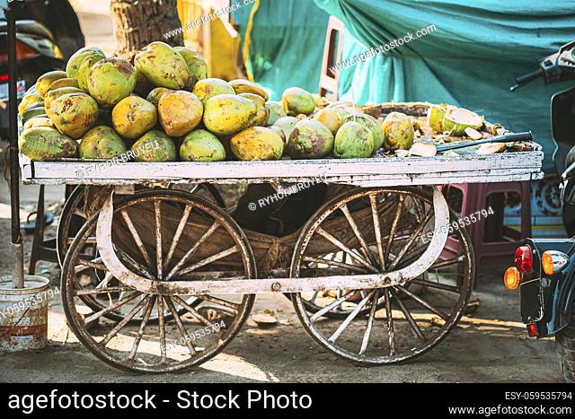 Goa, India. Many Coconuts Piled On Cart For Sale In Grocery Market