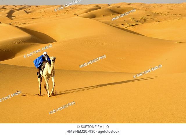 Mauritania, Adrar mountains, Sahara desert, sand dunes, Ouarane erg near Chinguetti, camel riding