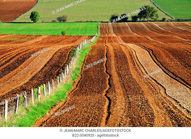 Lands of sowing, Balsac, North Aveyron, Midi-Pyrénées, Occitanie, France
