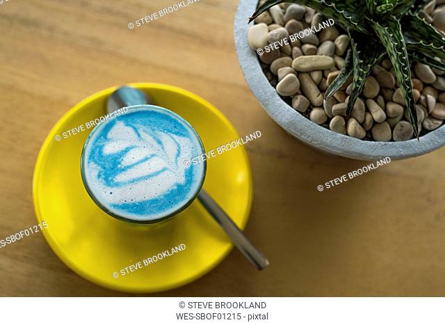 Blue smurf latte with spirulina algea