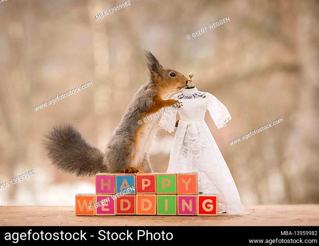 red squirrel on blocks with a wedding dress
