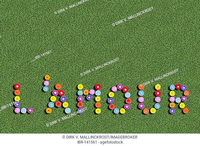 L'amour Love in french language written with flowers
