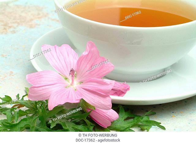 tea made of Musk mallow - medicinal tea - herbtea - Malva moschate - Malva moscata