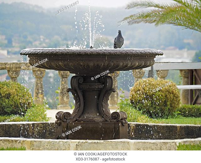 pigeon in a fountain at the Chateau de Fumel, Fumel, Lot-et-Garonne Department, Nouvelle Aquitaine, France