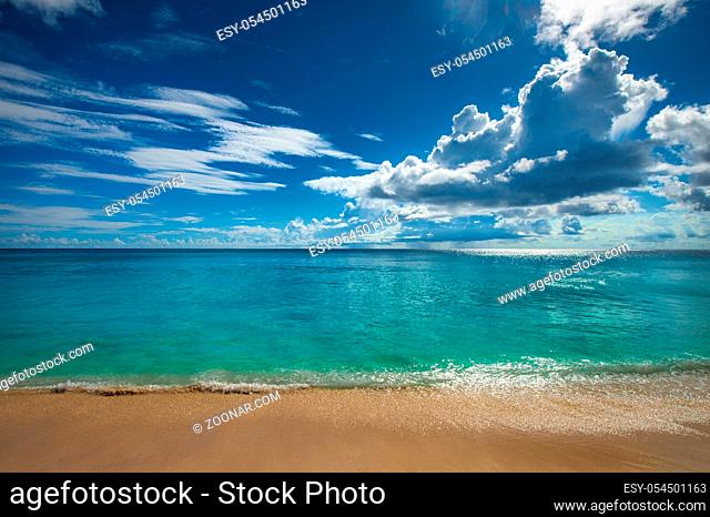 Tropical island beach. Perfect vacation background