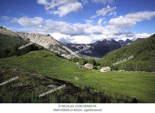 France, Hautes Alpes, Vallee de la Claree, valley of Buffere