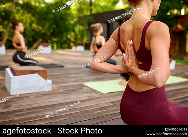 Attractive women on group yoga training in summer park, back view. Meditation, fit class on workout outdoors, relaxation practice, fitness exercise