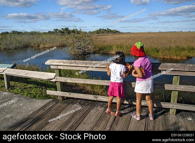 Couple of kids beholding the everglades from a wooden walkway