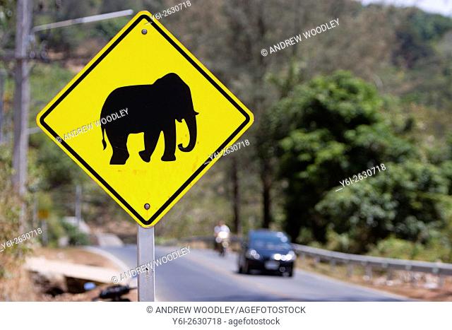Yellow diamond shape road side elephant warning sign Phuket Thailand